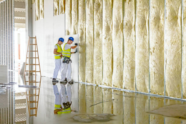 Best Residential Insulation in Tishomingo, OK
